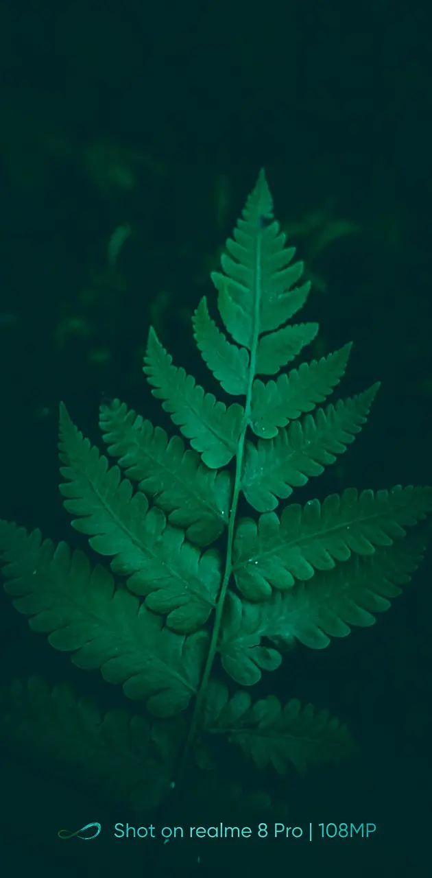 Green leaf ahamsachin.