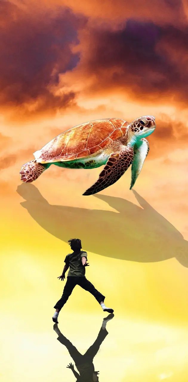 TURTLE AND BOY