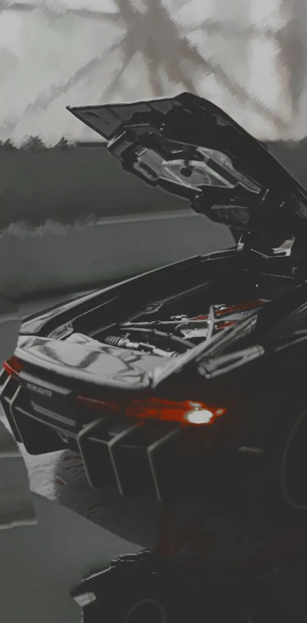 Lamborghini back gray