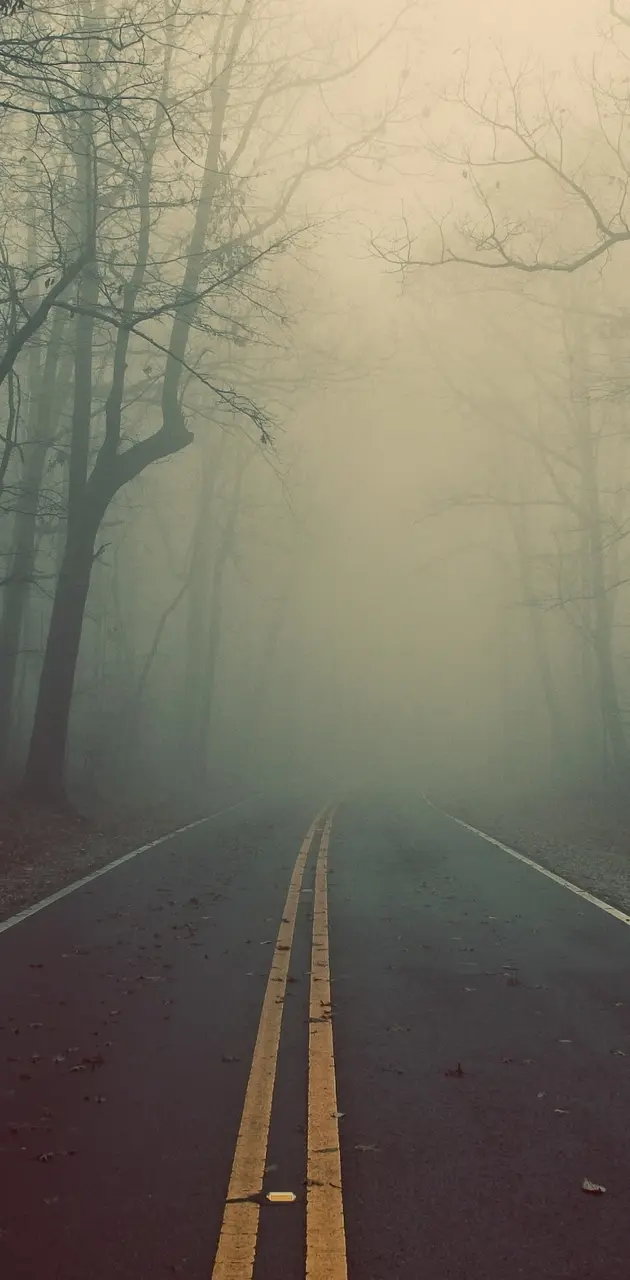 Scary Road Hd