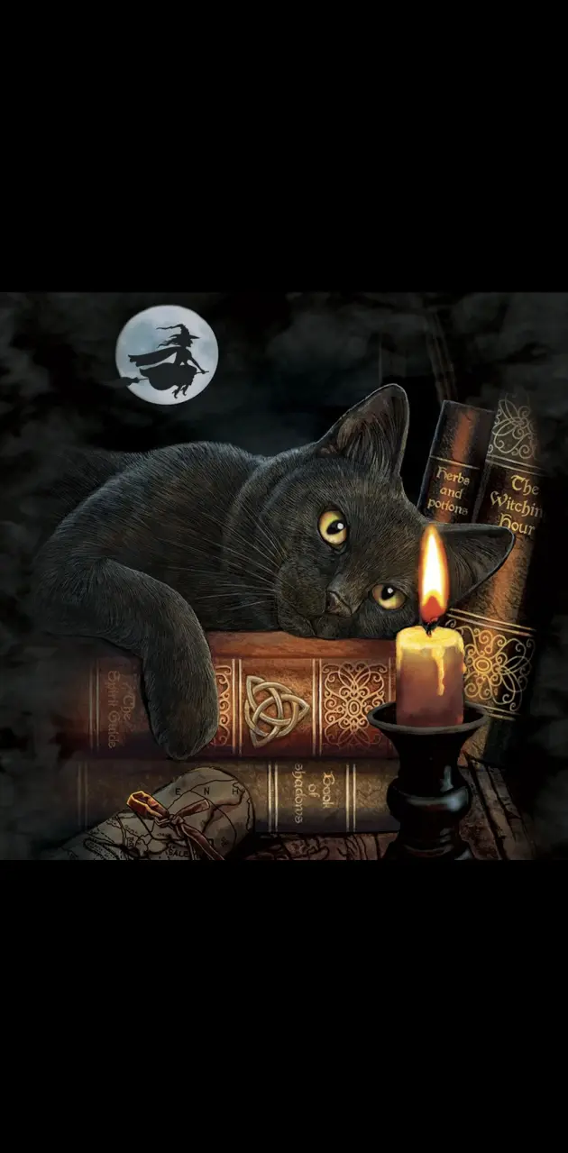 Bookish Halloween cat