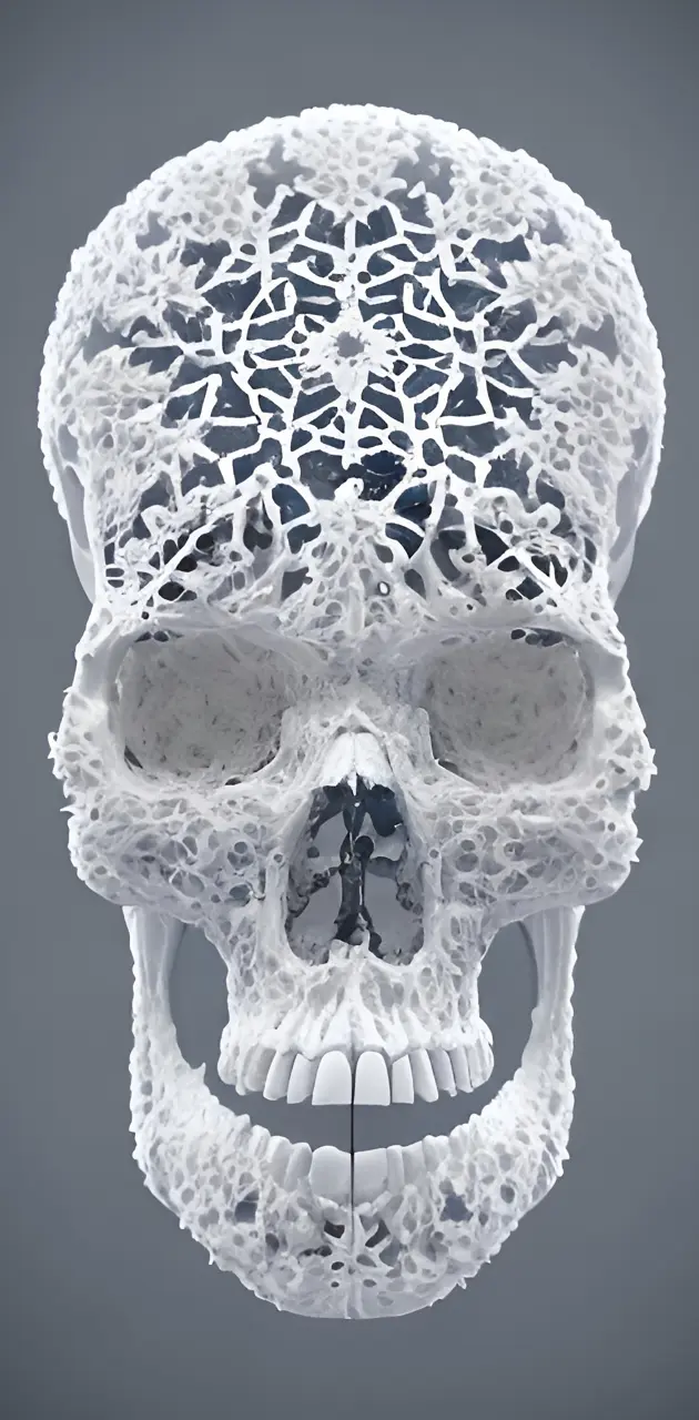 Snowflake skull 