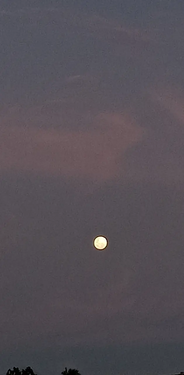 Full moon 2