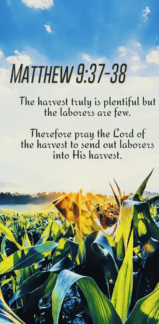 Lord of The Harvest