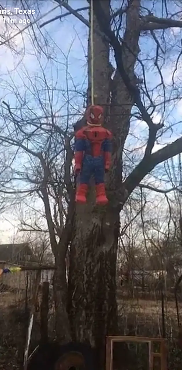 Funny Spiderman
