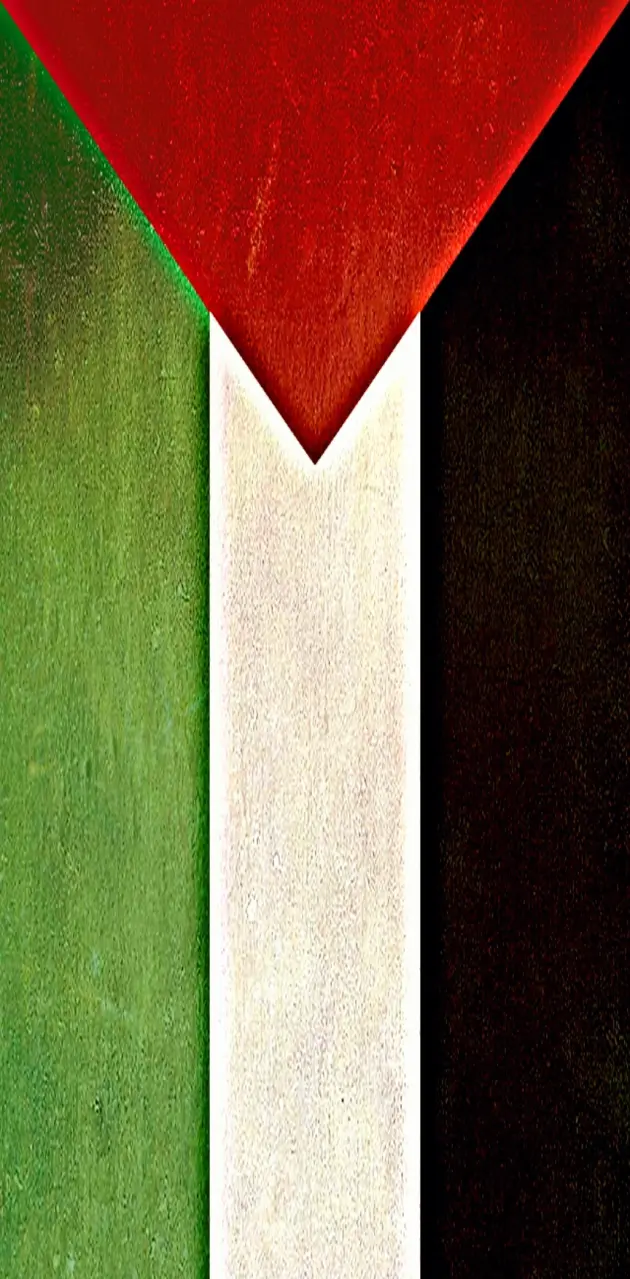 Palestine Flag vert