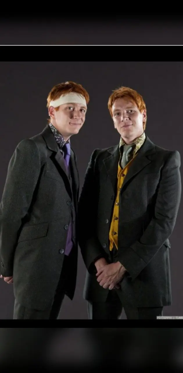 Weasley Twins 