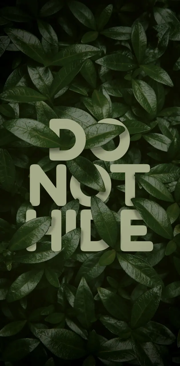 Do Not Hide