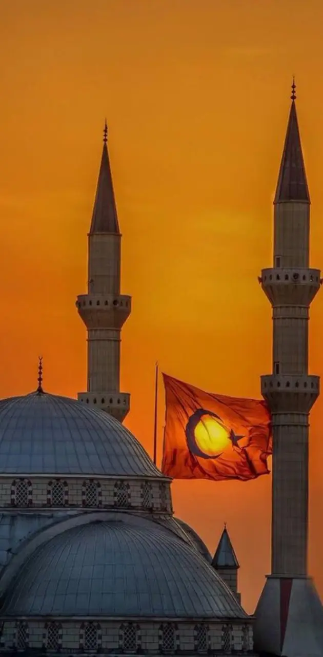 Mosque and flag