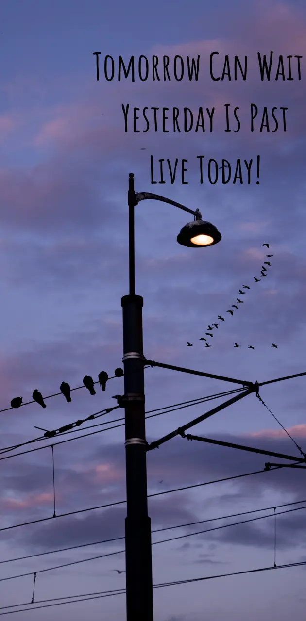 Live Today!