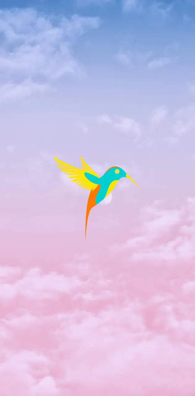 Bird HD Wallpaper 