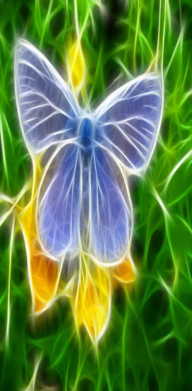 Abstract Butterfly