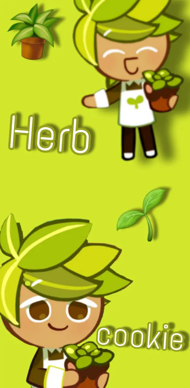 Herb cookie 