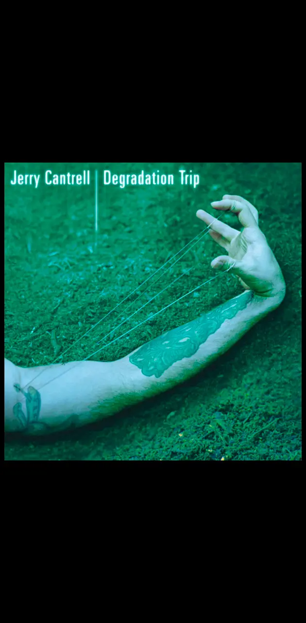 Jerry Cantrell DT