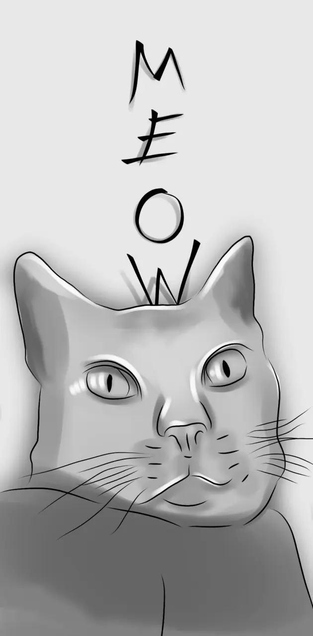Meow Cat
