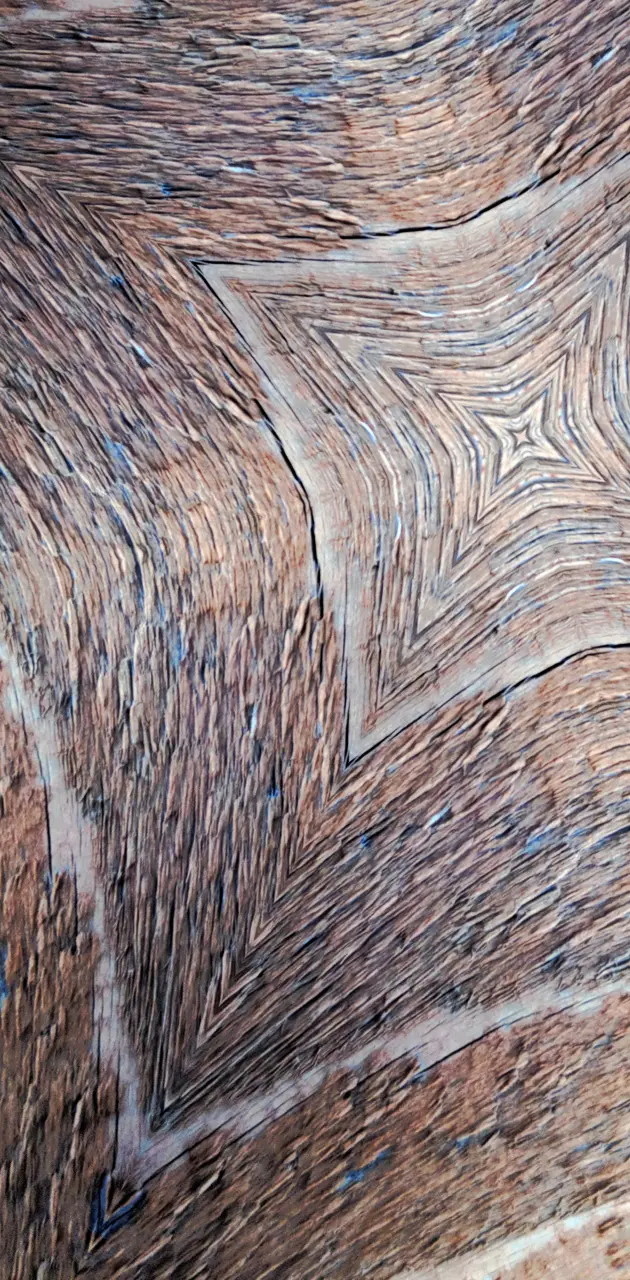 Wood Abstract