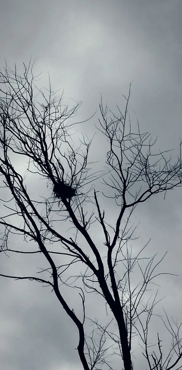 Tree and Nest