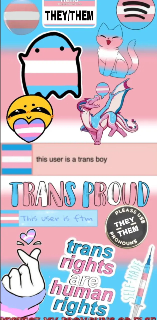 Man trans pride
