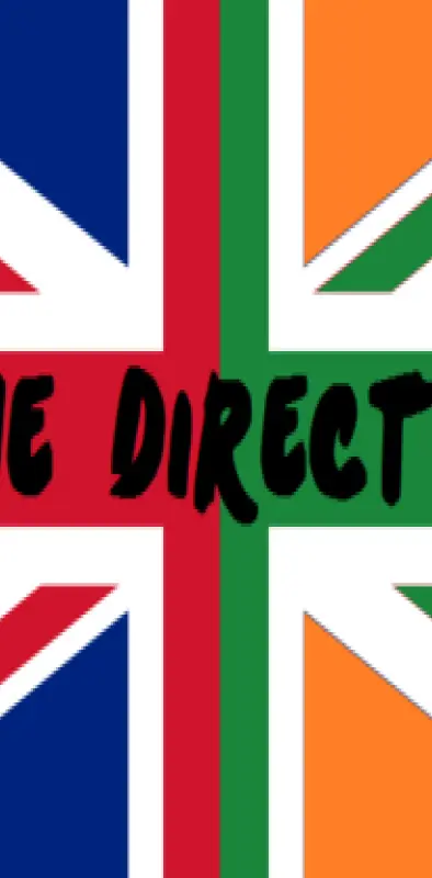 One Direction Flag