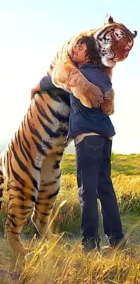 Tiger Hug