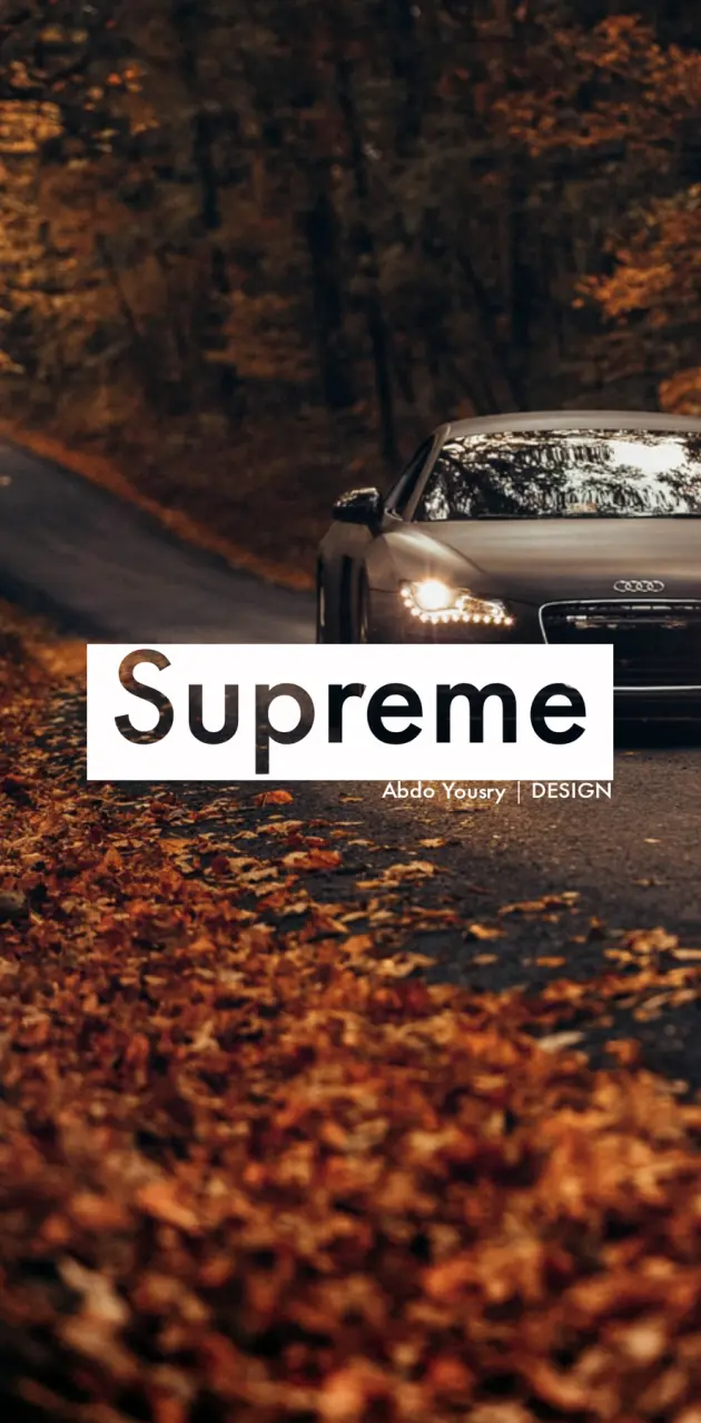 Audi and Supreme