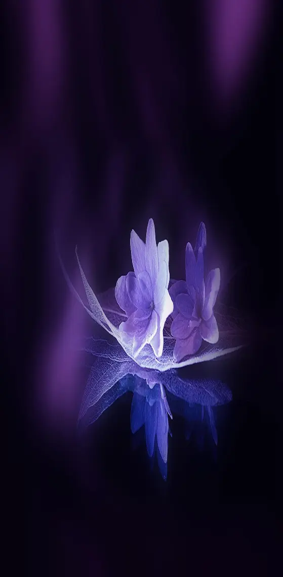 Purple  Flower