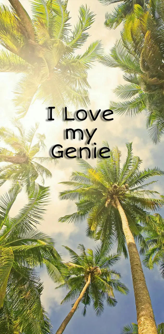 I Love My Genie
