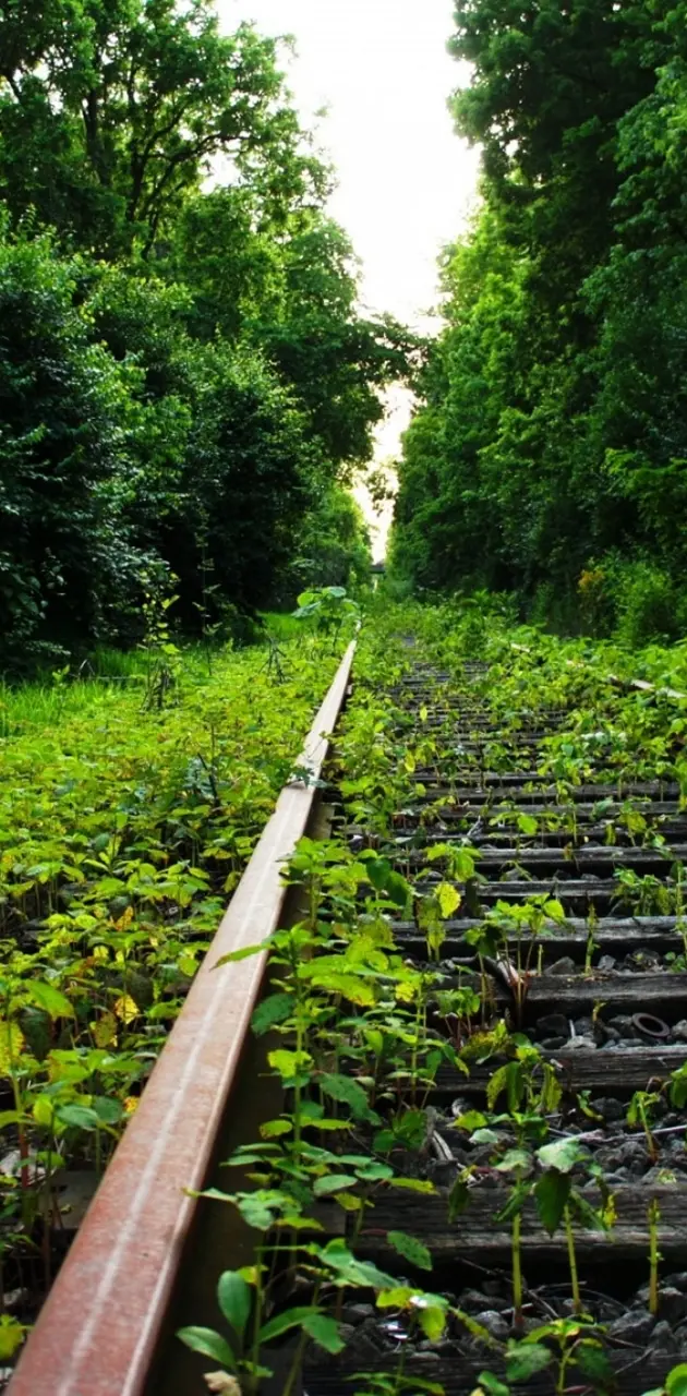 old train road