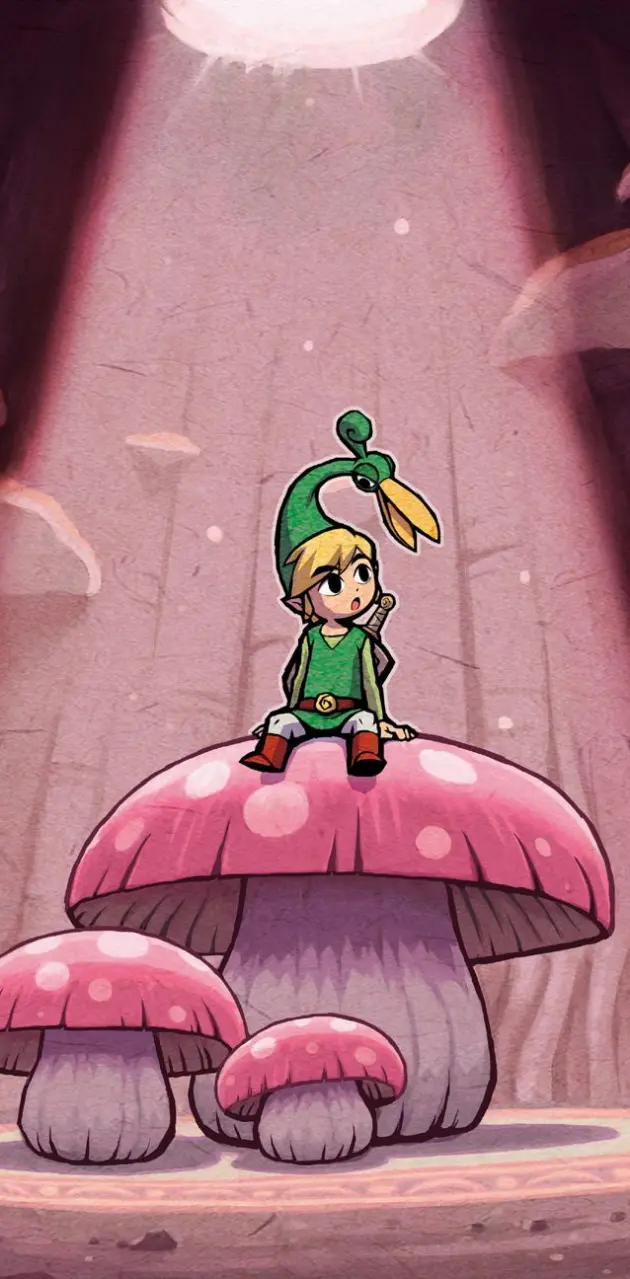 Zelda minish cap