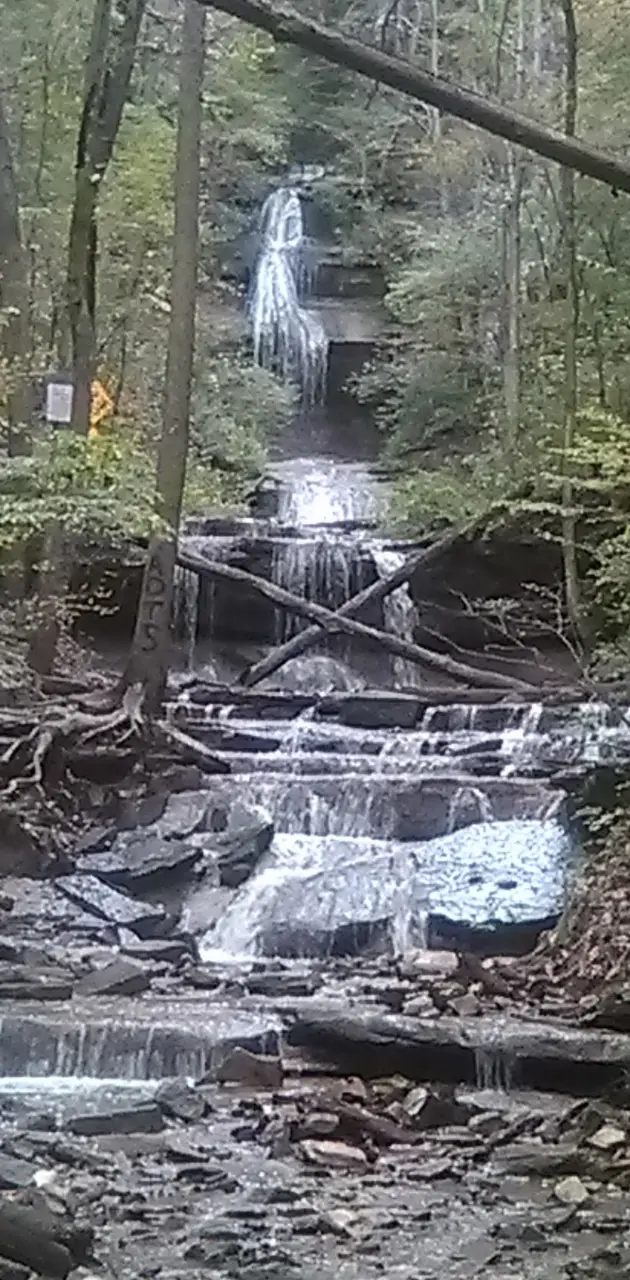 Tioga falls