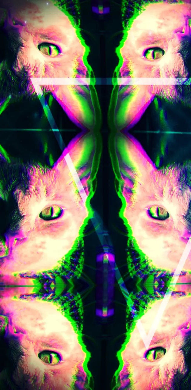 Trippy cats