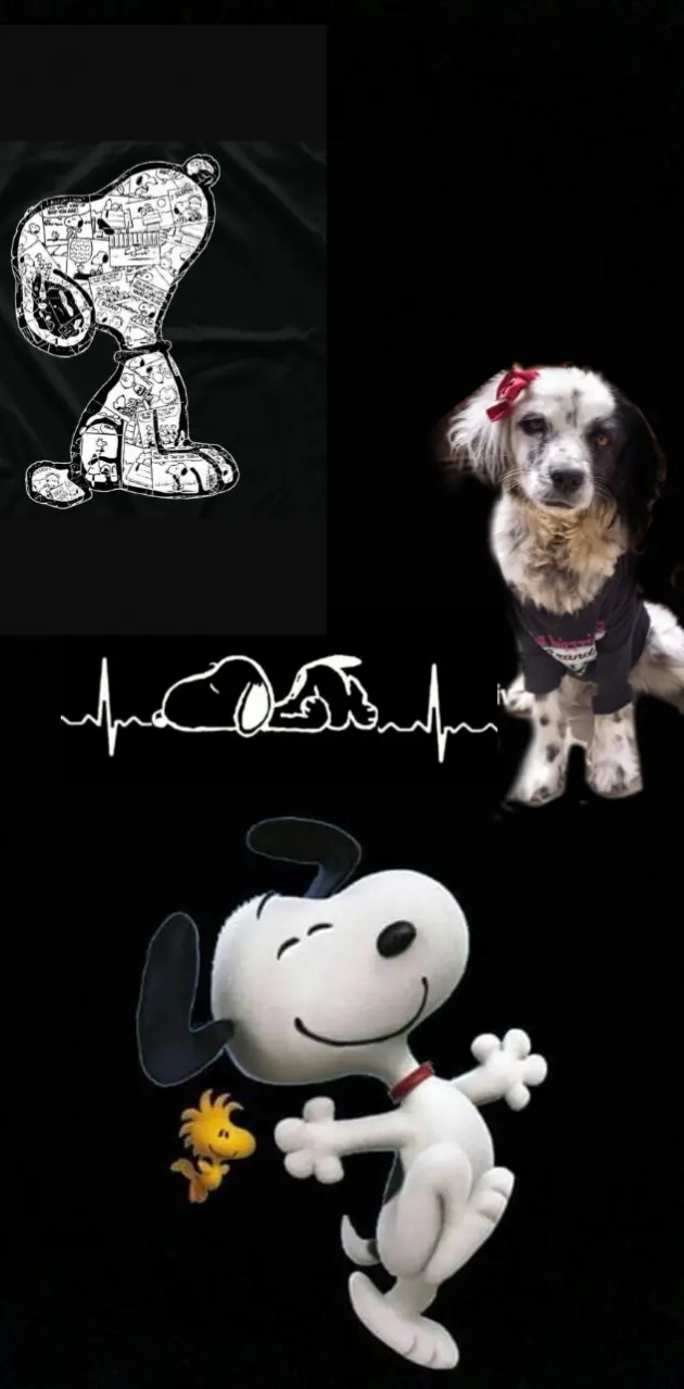 Snoopy dog