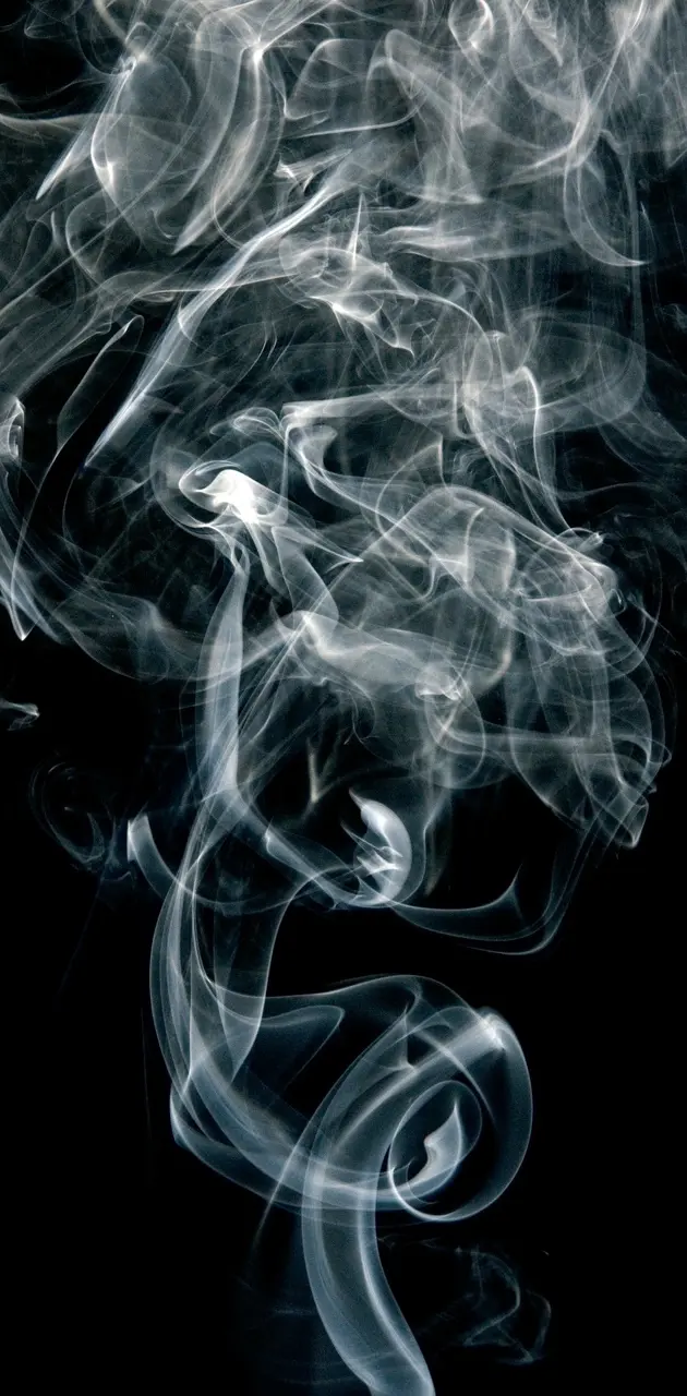 Up in Smoke 