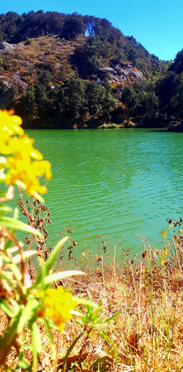 Green Lagoon 