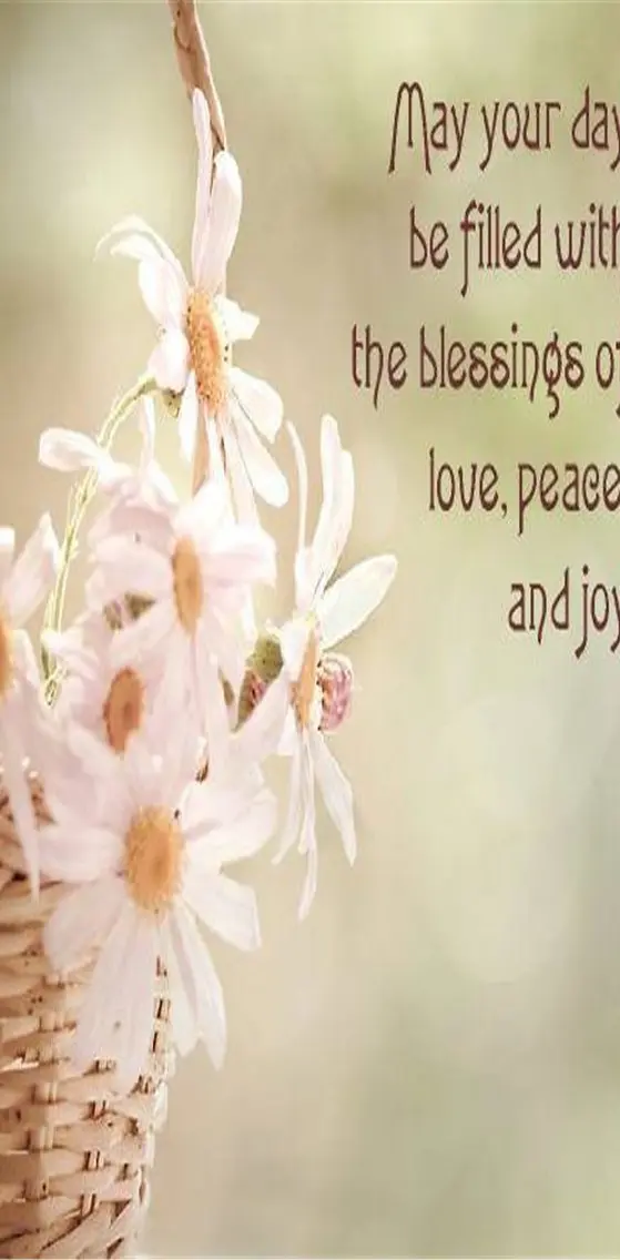 Love Peace n Joy