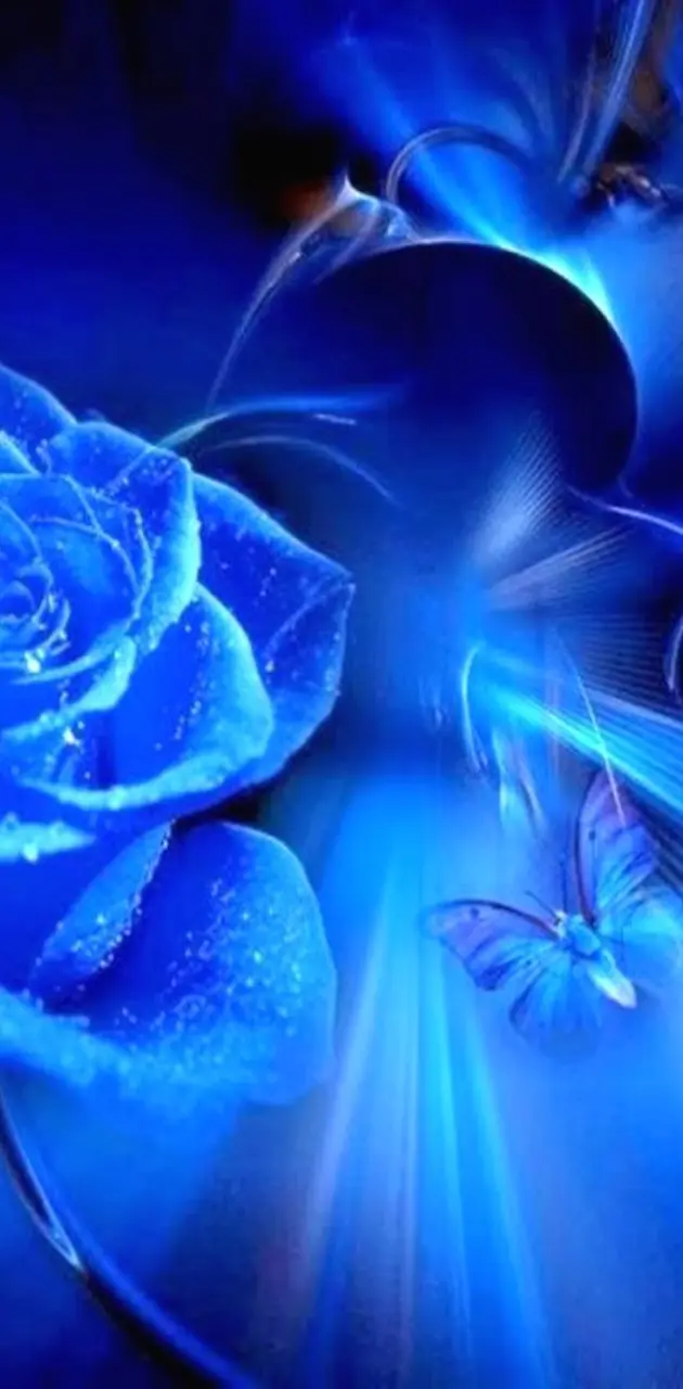 Blue   Rose