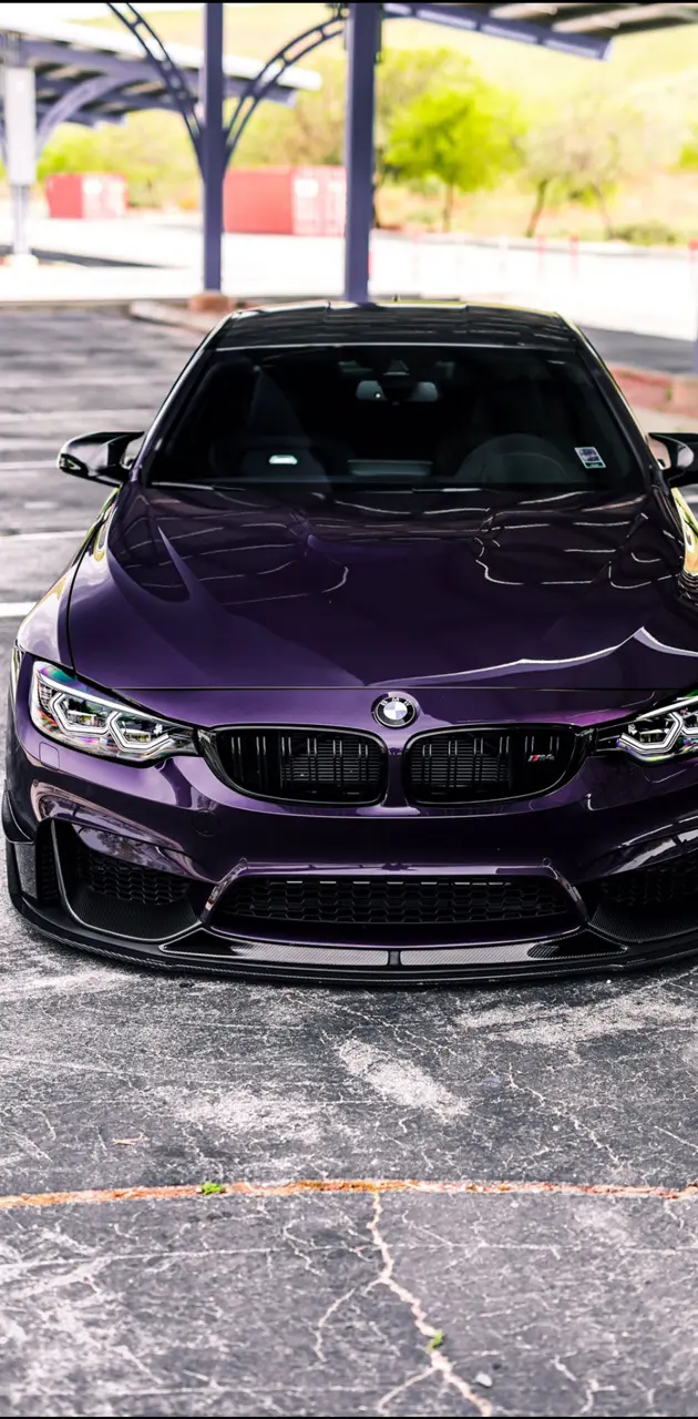 Midnight Purple BMW