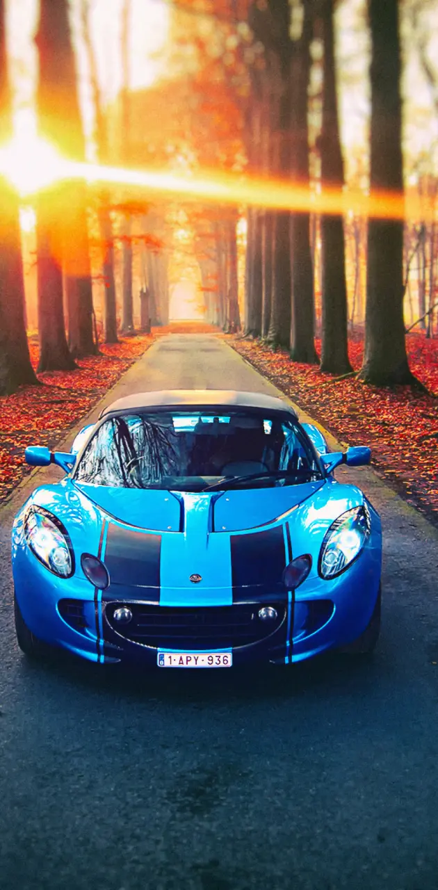 Blue Lotus sport car