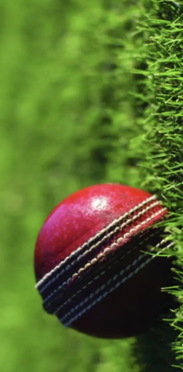 Cricket ball on astro