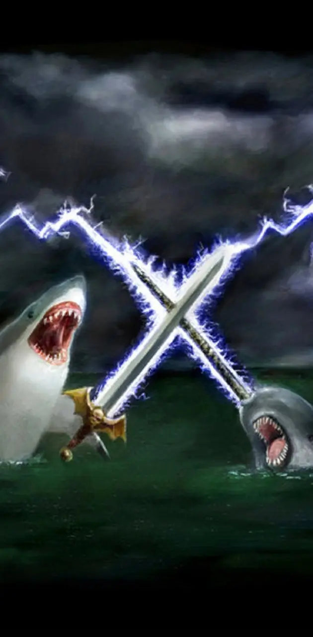Shark vs Narwhal