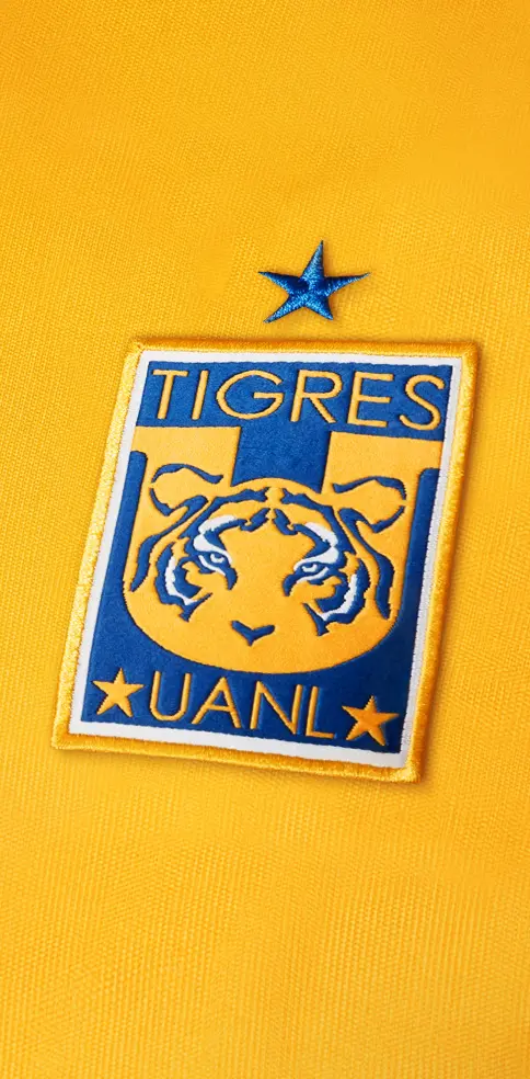 Tigres Campeon