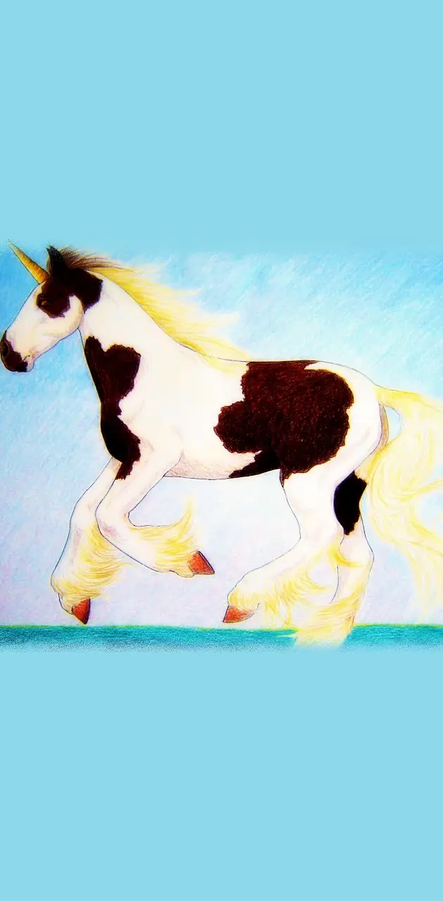 Paint-Pinto Unicorn