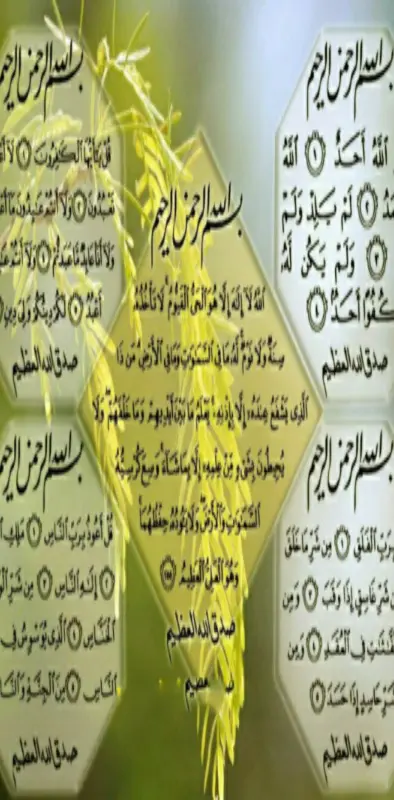 Quranic Ayaat