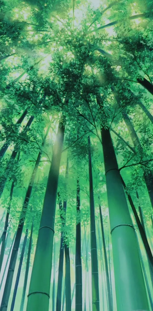 Bamboo Anime