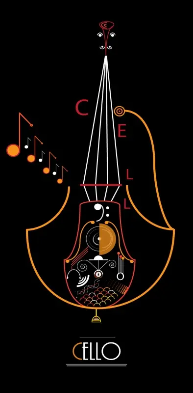 vector cello