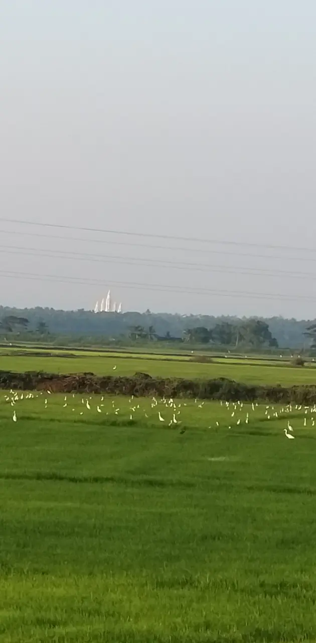 Paadam Kerala