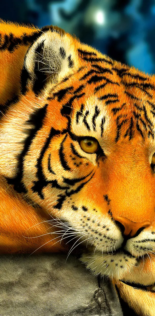 Paintings Tigers