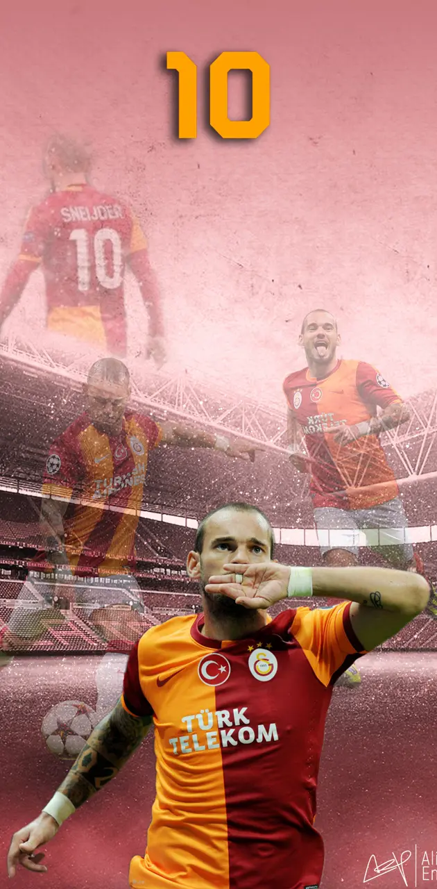Wesley Sneijder 10