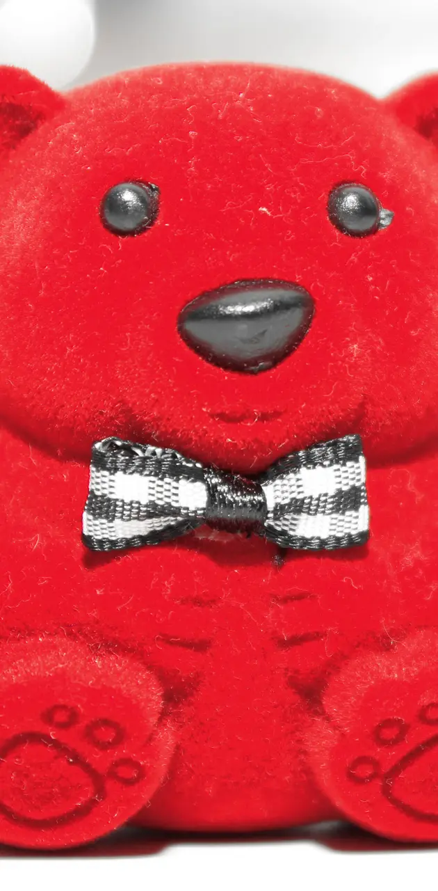 Red teddy bear