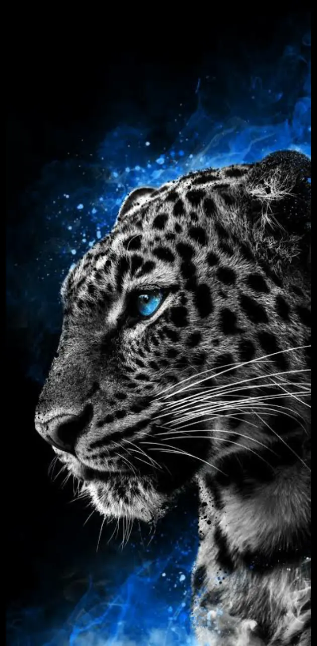 Cheetah wallpaper by Zomka - Download on ZEDGE™